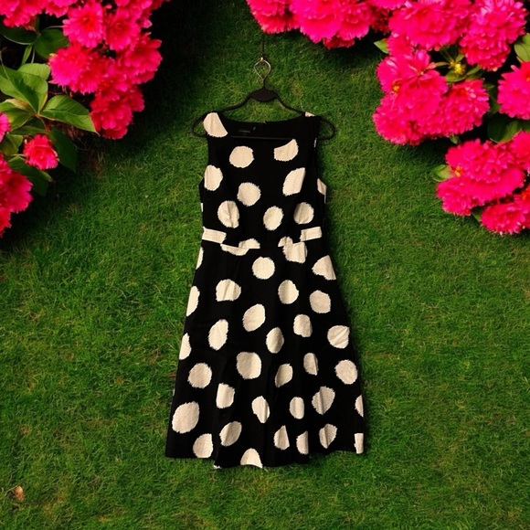 Talbots Black & White Polka Dot Dress - Picture 5 of 16